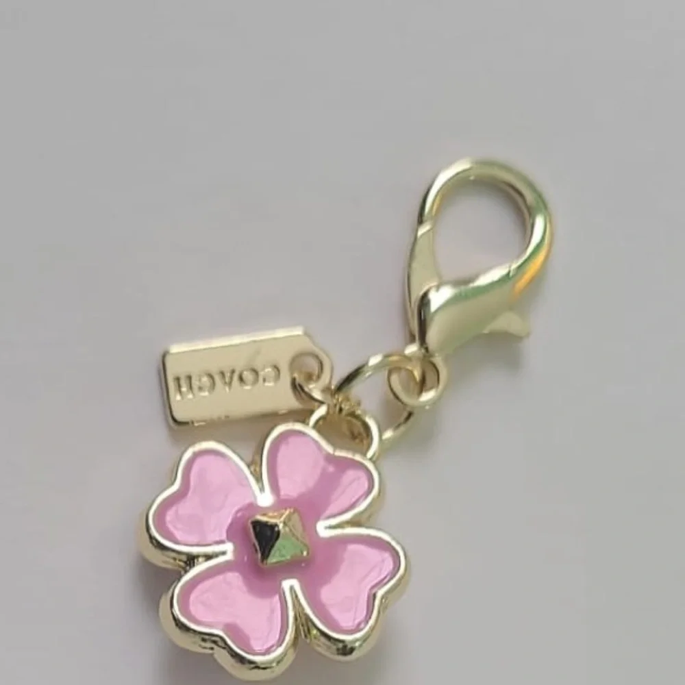 Coach - Picture 2 of 4